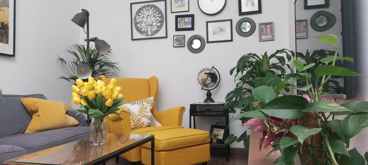 רונדה Apartamentos Los Descalzos Free Parking מראה חיצוני תמונה