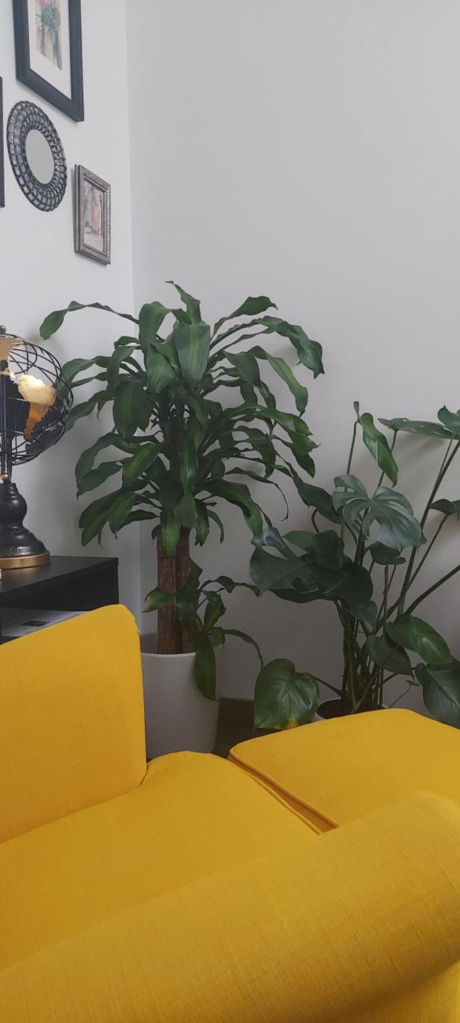 רונדה Apartamentos Los Descalzos Free Parking מראה חיצוני תמונה