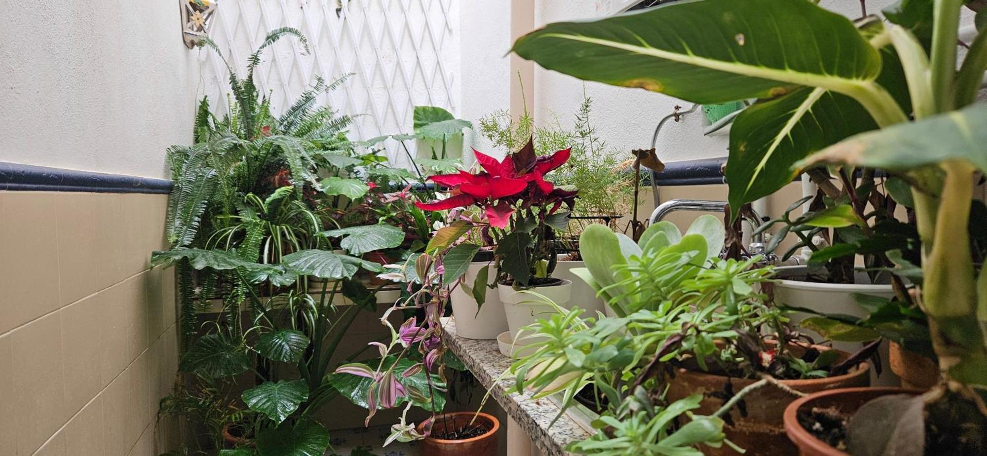 רונדה Apartamentos Los Descalzos Free Parking מראה חיצוני תמונה